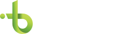 Business IT